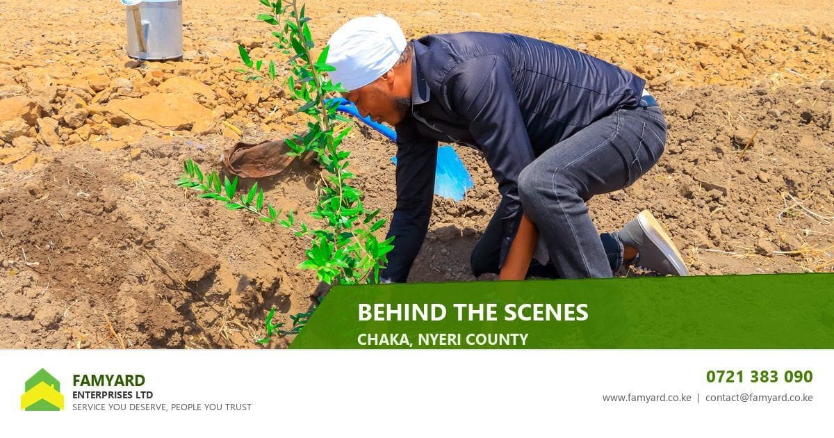 Inside Famyard’s Biggest Plot Launch Yet: Behind the Scenes in Chaka