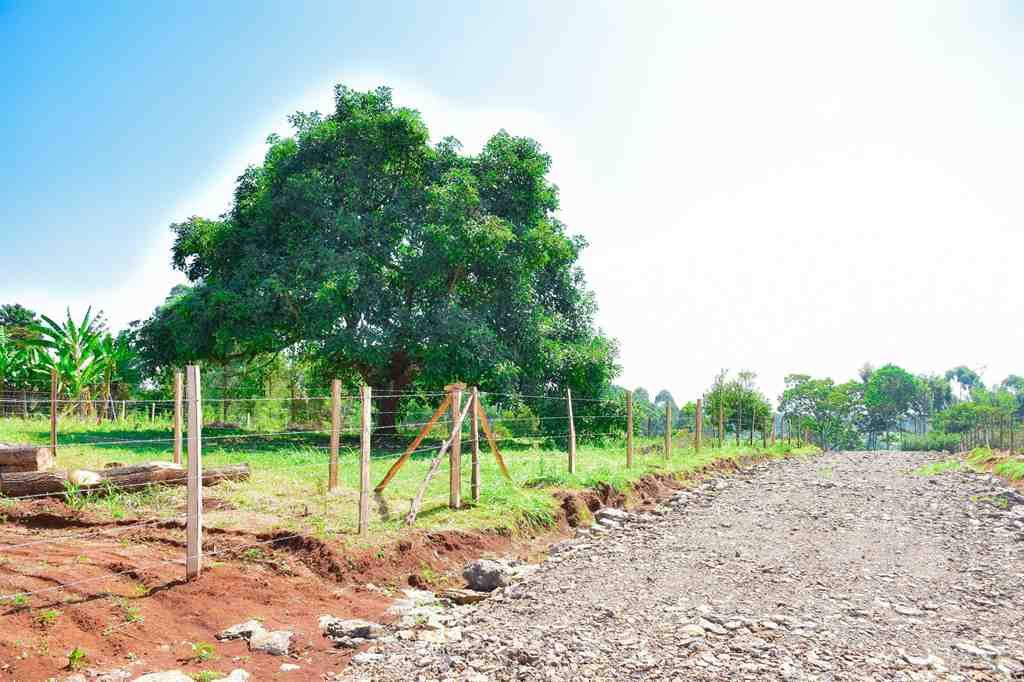 Plots For Sale In Nyeri County, Kagundu-ini