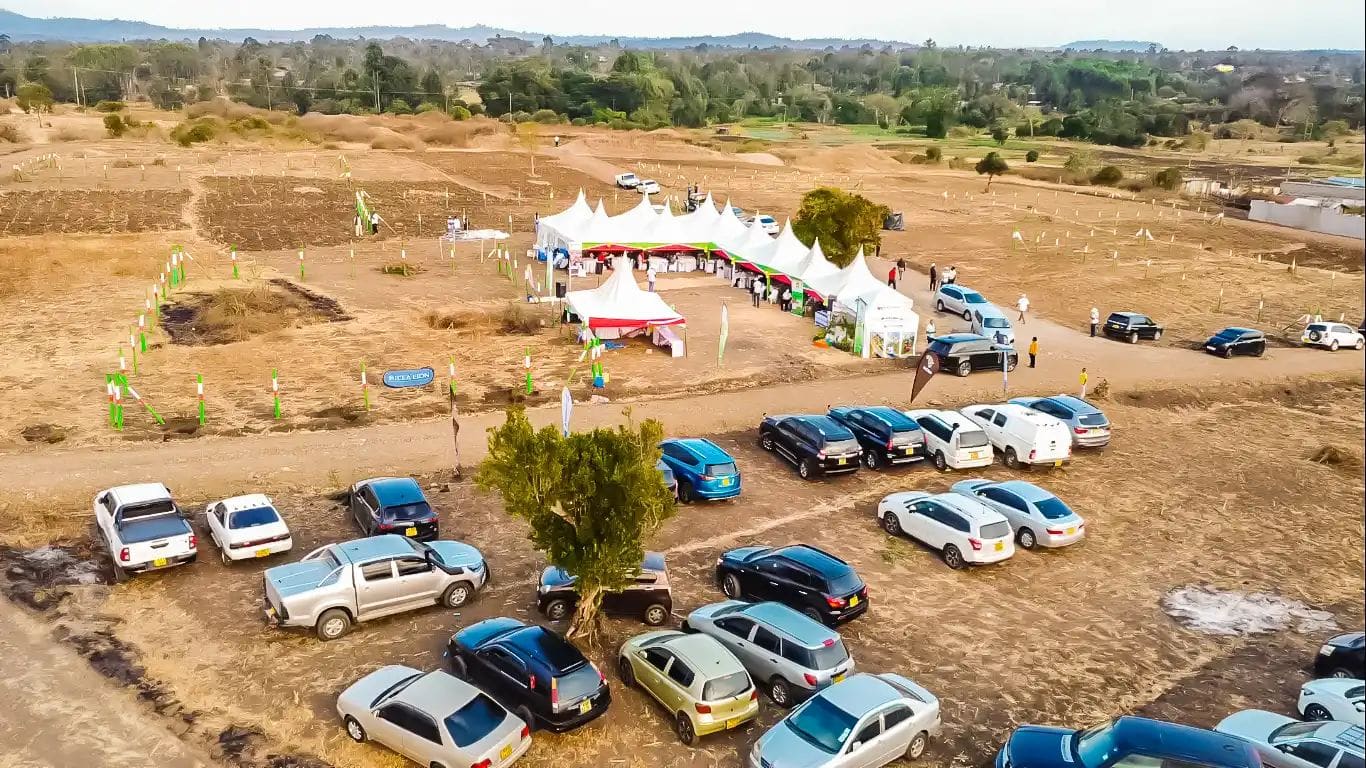 Chaka Lane 15 Famyard Estate 50×50 Plots – photo 5