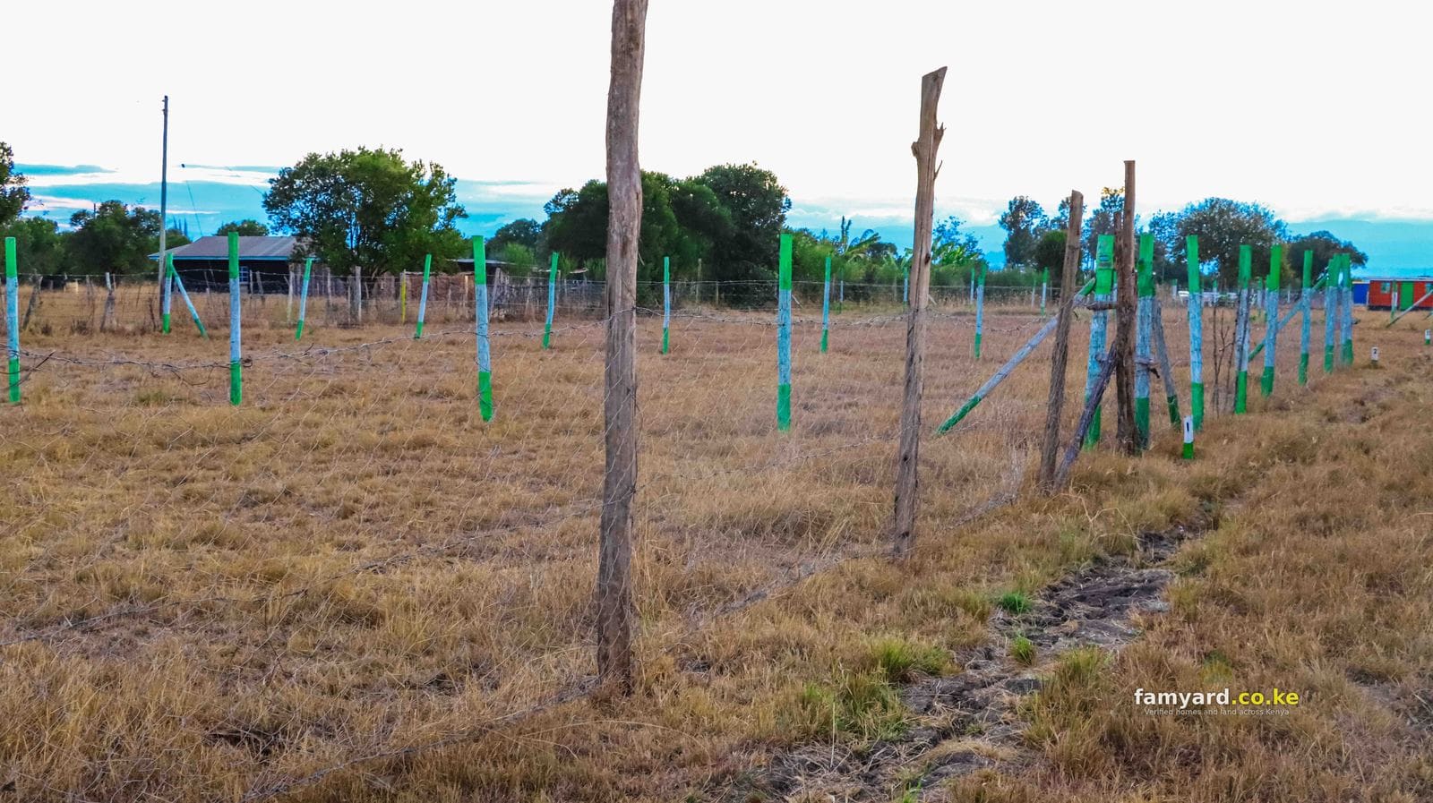 Chaka Ngatha Estate Plots 50×50 – photo 3
