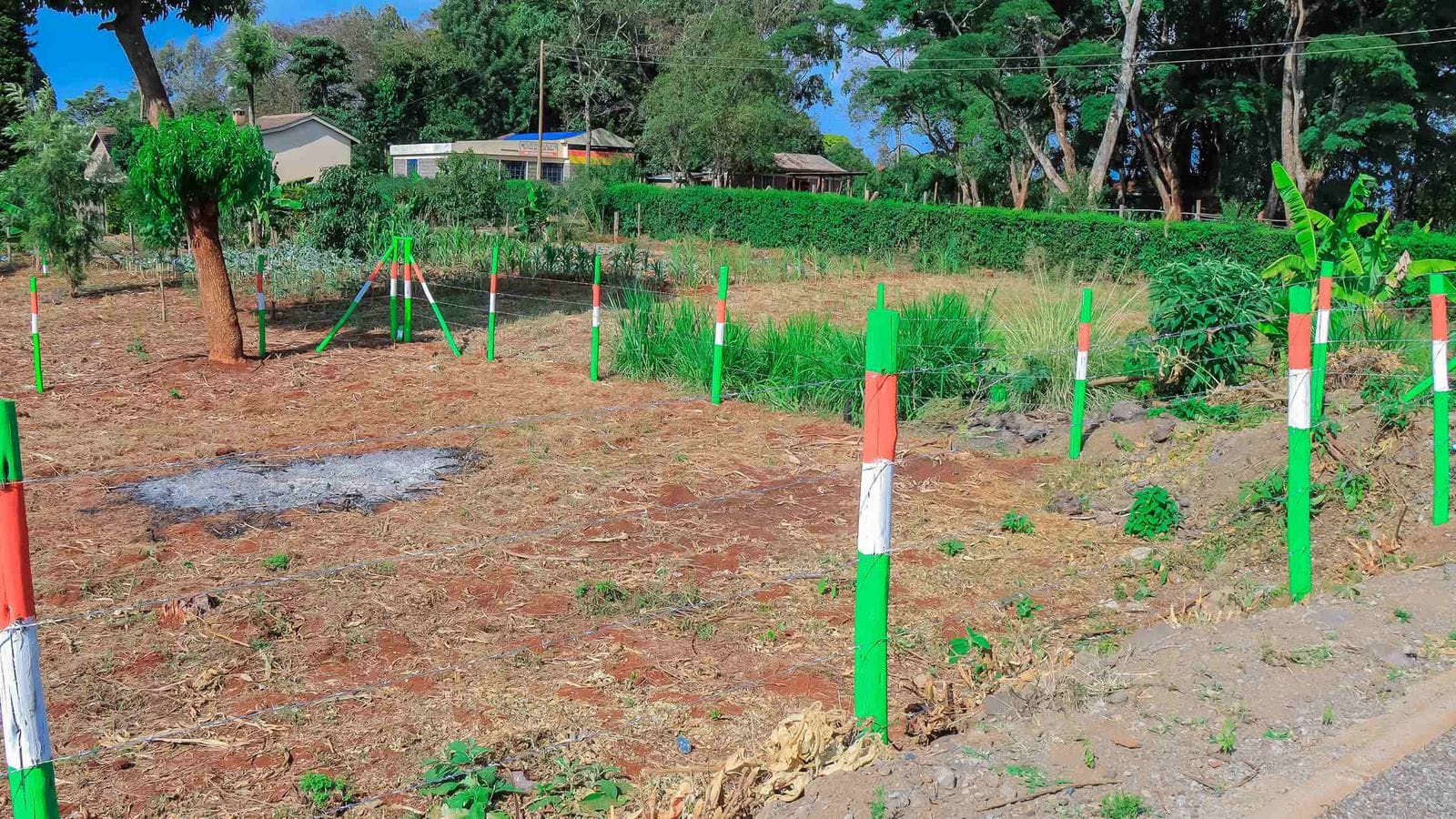 Plots For Sale in Gitero, Nyeri County – photo 3