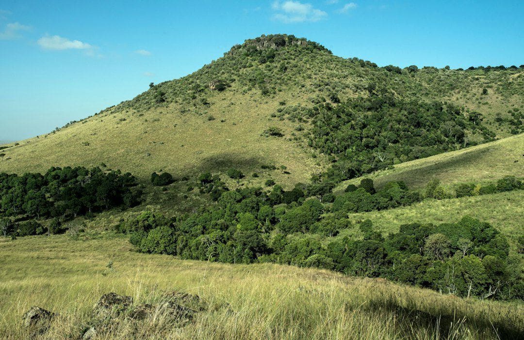 Best Places to Buy Land Near Mount Kenya in 2026