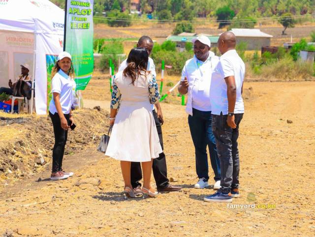 Chaka Lane 15 Famyard Estate Launch – photo 21
