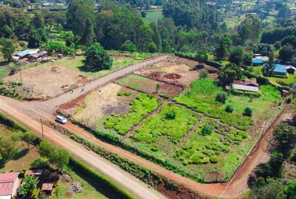Land Investment Returns