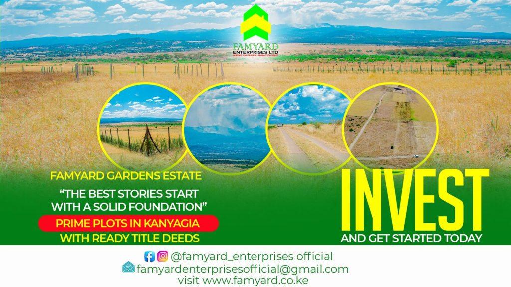 Kenyans living in diaspora